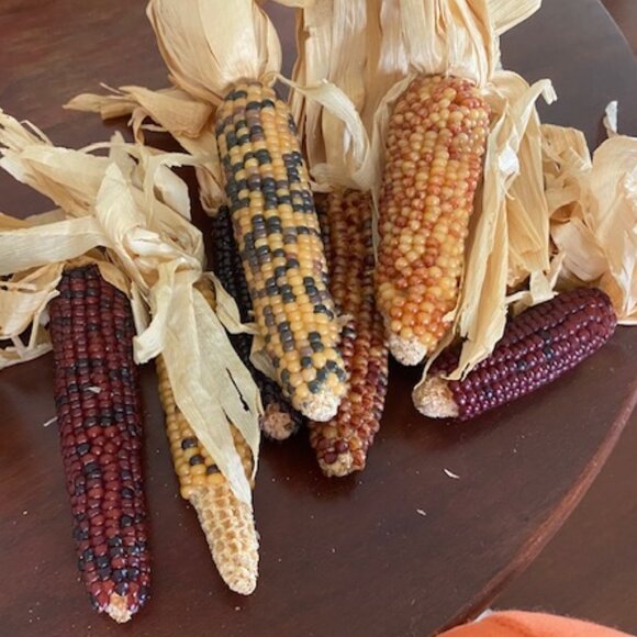 HUGE Lot FALL Harvest THANKSGIVING Decor- SCARECROW Football PUMPKIN Indian Corn - Picture 10 of 15